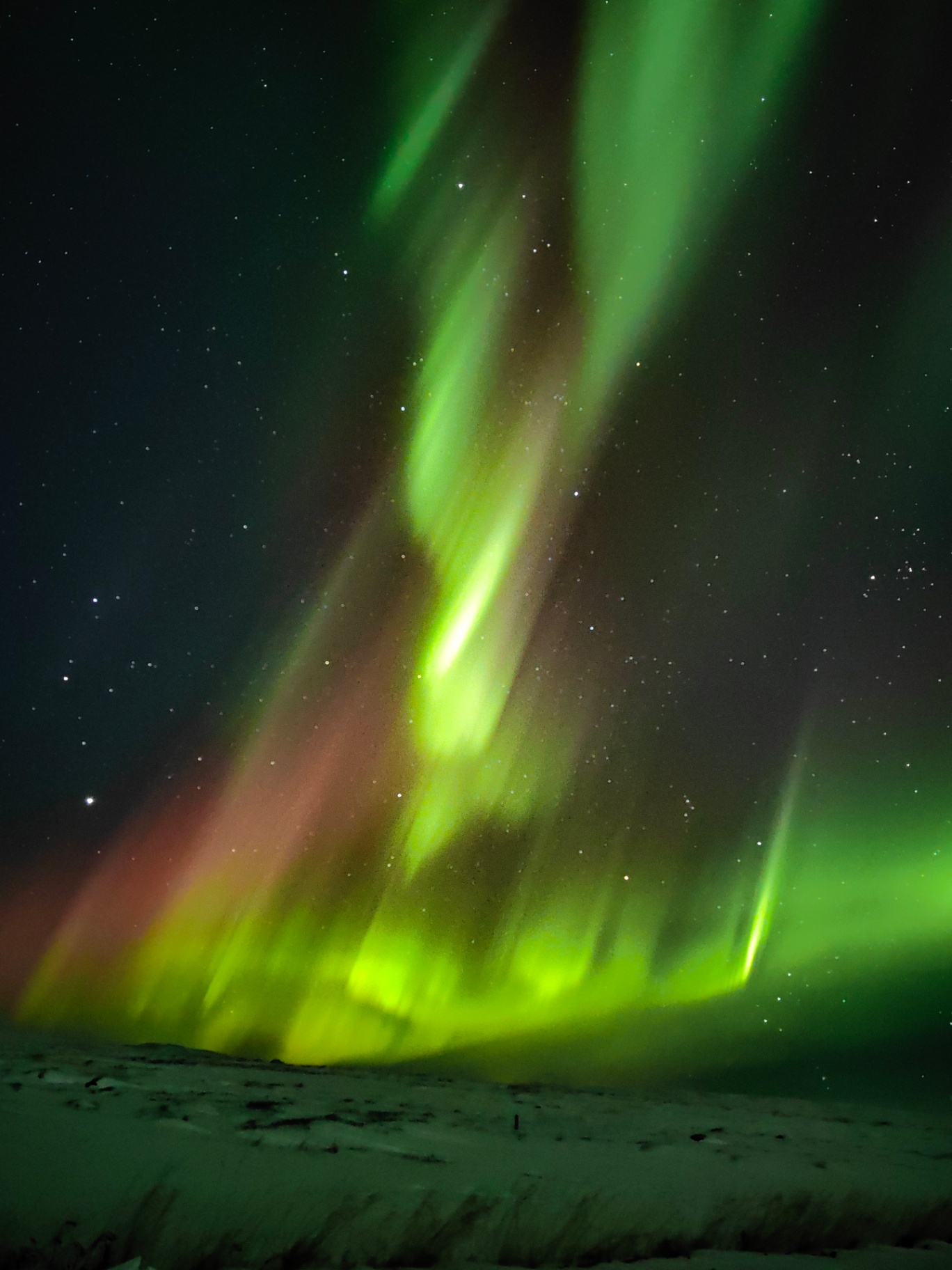 Aurora boreal en cortinas sobre paisaje invernal